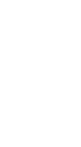 http://braincuibe.site