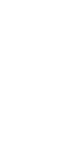 http://braincuibe.site